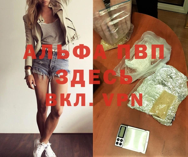 стафф Абаза