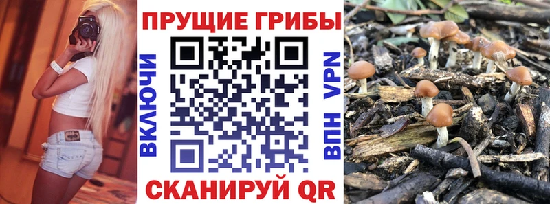 Псилоцибиновые грибы мицелий  darknet формула  Алагир 